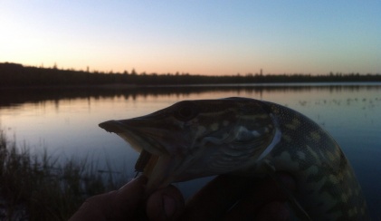 Erste Fische gefangen und grilliert