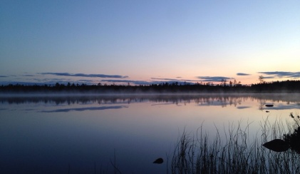 Wir sind in Stimmung